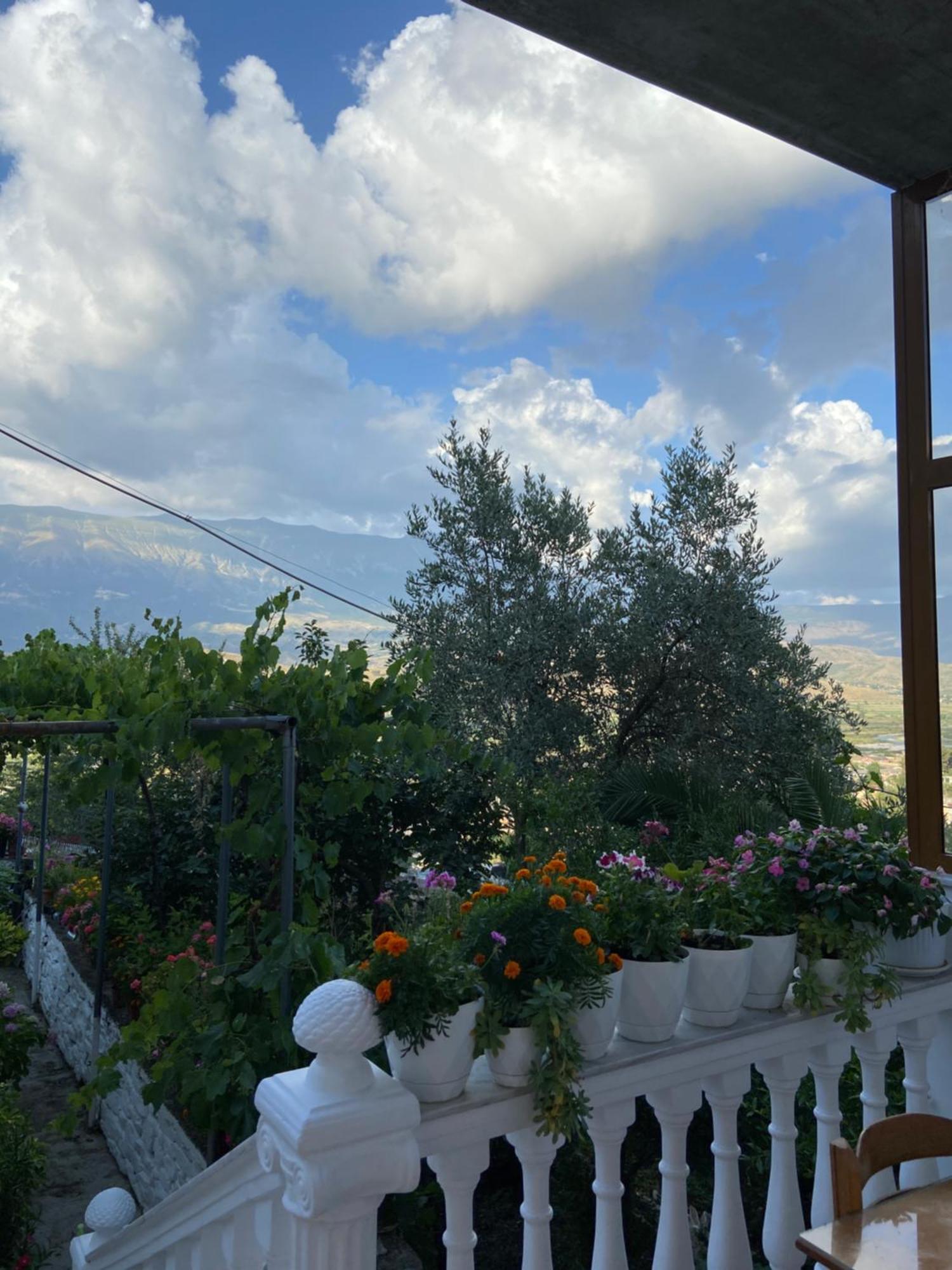 Stonetale Garden Guesthouse Gjirokastër 外观 照片